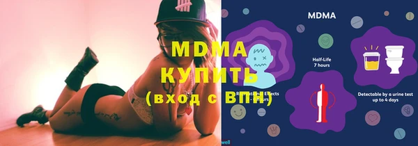 индика Пестово
