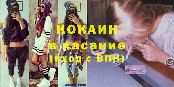 ешки Алексин