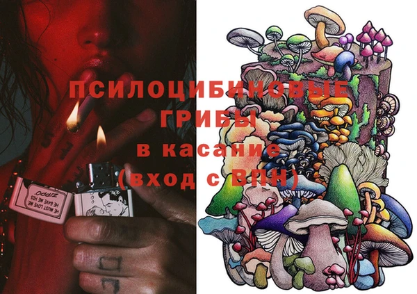 индика Пестово