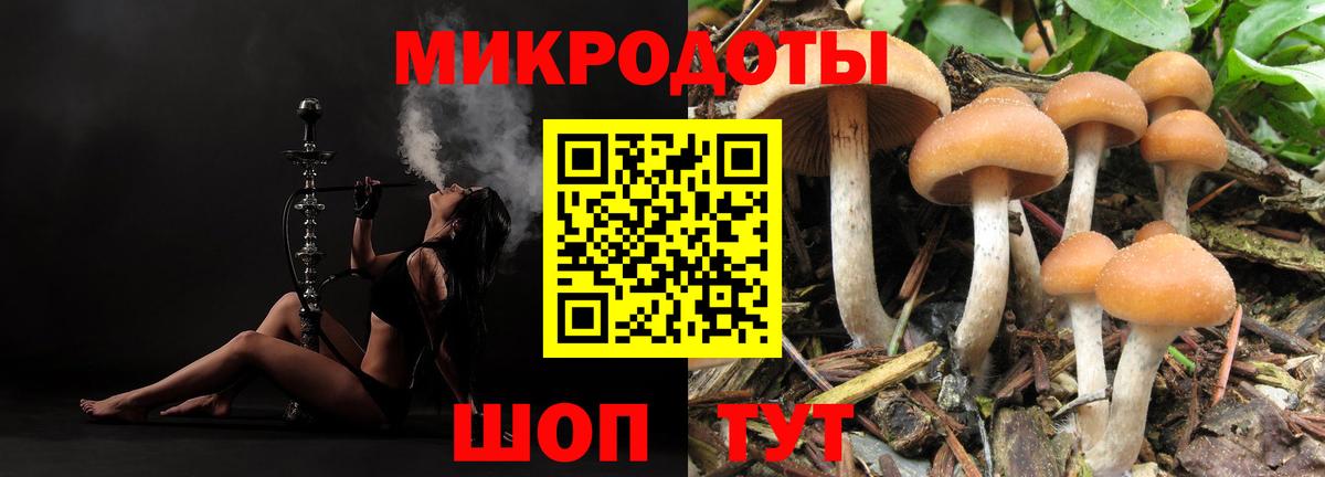 Псилоцибиновые грибы прущие грибы  Псилоцибиновые грибы мухоморы  Вход с VPN  Сорочинск 