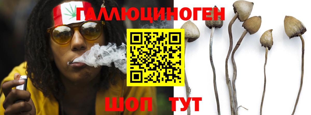 Псилоцибиновые грибы MAGIC MUSHROOMS Сорочинск