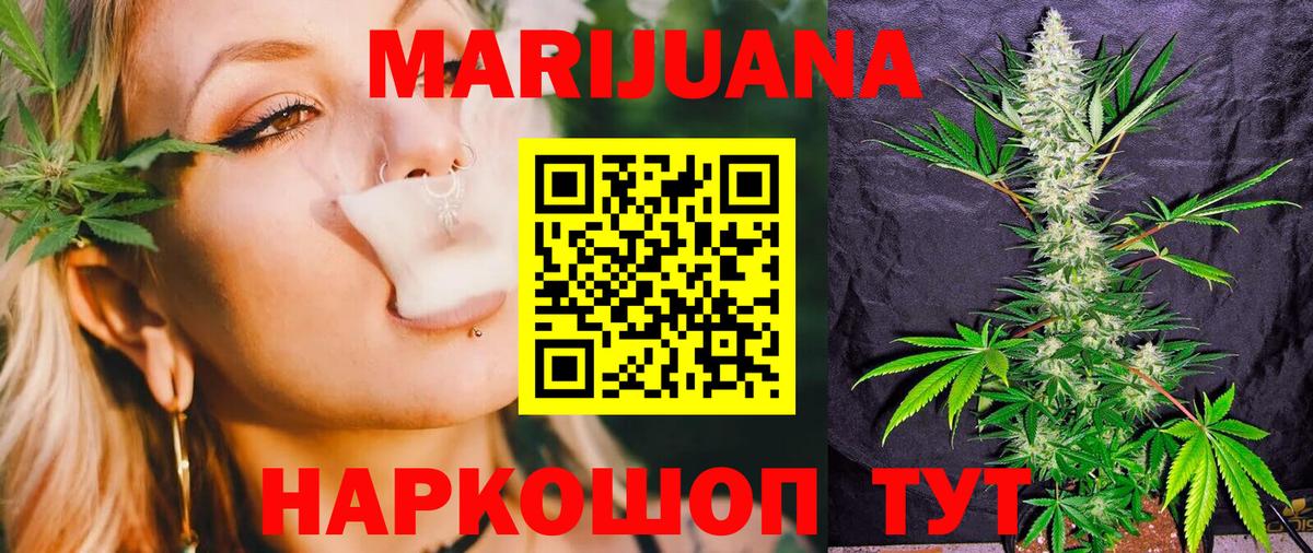 Каннабис сатива Сорочинск
